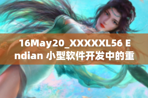 16May20_XXXXXL56 Endian 小型軟件開發(fā)中的重要性