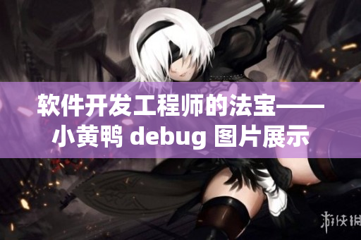 軟件開發(fā)工程師的法寶——小黃鴨 debug 圖片展示