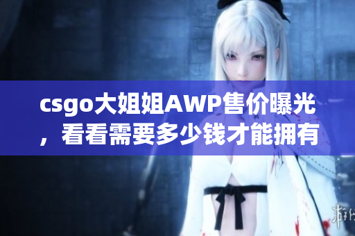 csgo大姐姐AWP售價曝光，看看需要多少錢才能擁有