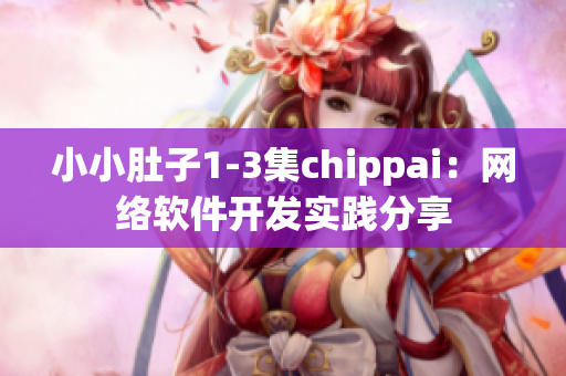 小小肚子1-3集chippai：網(wǎng)絡(luò)軟件開發(fā)實踐分享