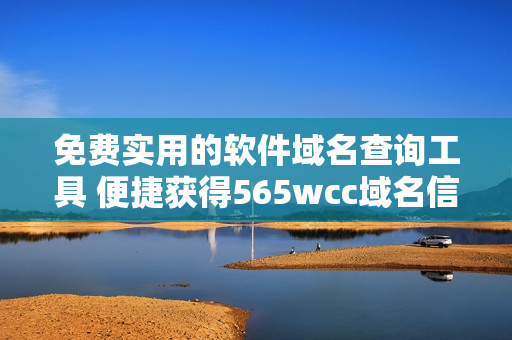 免費實用的軟件域名查詢工具 便捷獲得565wcc域名信息