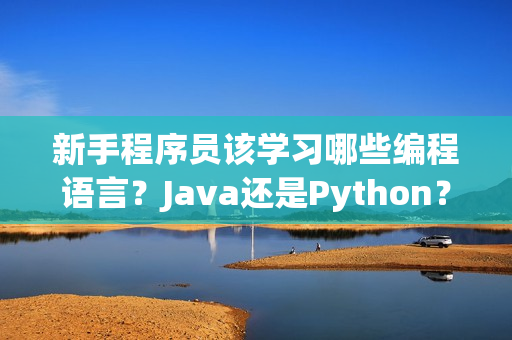 新手程序員該學(xué)習(xí)哪些編程語(yǔ)言？Java還是Python？