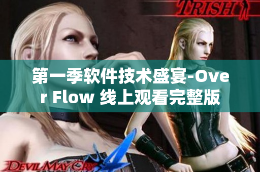 第一季軟件技術盛宴-Over Flow 線上觀看完整版