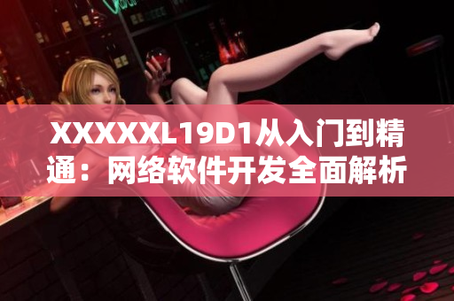 XXXXXL19D1從入門到精通：網(wǎng)絡(luò)軟件開發(fā)全面解析