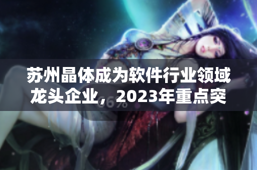 蘇州晶體成為軟件行業(yè)領域龍頭企業(yè)，2023年重點突破與創(chuàng)新