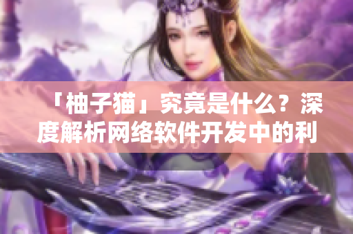 「柚子貓」究竟是什么？深度解析網(wǎng)絡(luò)軟件開發(fā)中的利器