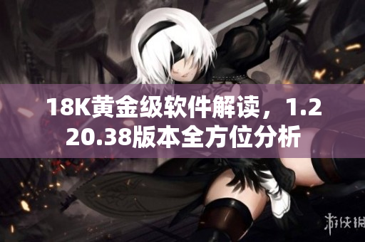 18K黃金級軟件解讀，1.220.38版本全方位分析