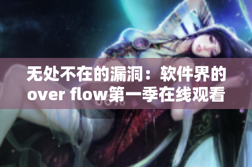 無處不在的漏洞：軟件界的over flow第一季在線觀看