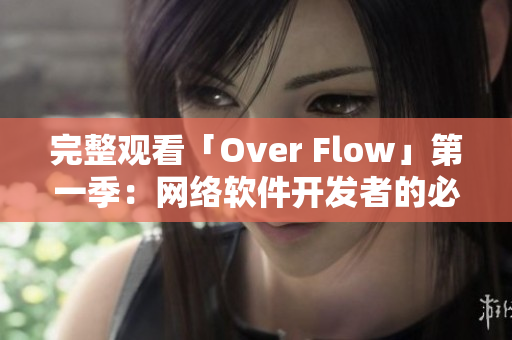 完整觀看「Over Flow」第一季：網(wǎng)絡(luò)軟件開(kāi)發(fā)者的必備指南