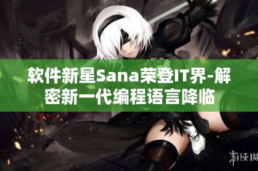 軟件新星Sana榮登IT界-解密新一代編程語言降臨