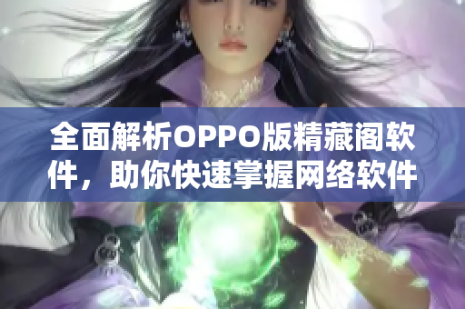 全面解析OPPO版精藏閣軟件，助你快速掌握網(wǎng)絡軟件編程技巧！