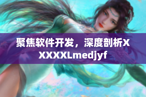 聚焦軟件開發(fā)，深度剖析XXXXXLmedjyf