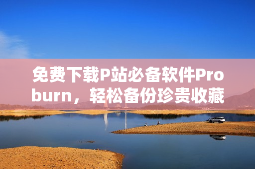 免費下載P站必備軟件Proburn，輕松備份珍貴收藏！