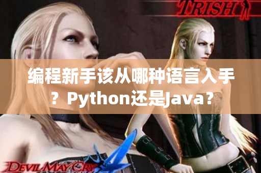 編程新手該從哪種語言入手？Python還是Java？