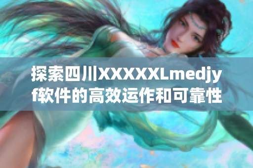 探索四川XXXXXLmedjyf軟件的高效運(yùn)作和可靠性