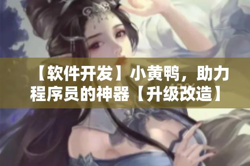 【軟件開發(fā)】小黃鴨，助力程序員的神器【升級改造】