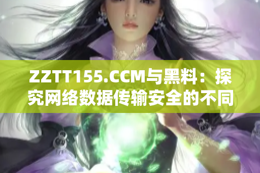 ZZTT155.CCM與黑料：探究網(wǎng)絡(luò)數(shù)據(jù)傳輸安全的不同路徑