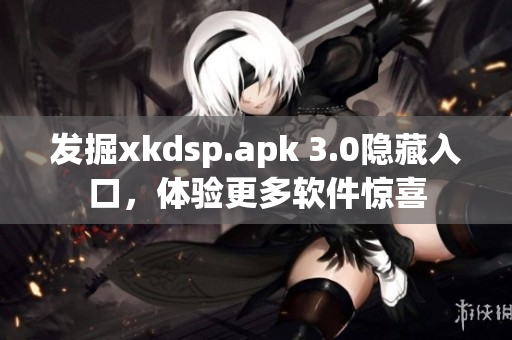 發(fā)掘xkdsp.apk 3.0隱藏入口，體驗更多軟件驚喜