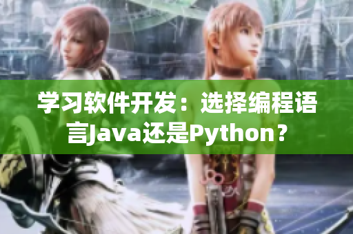 學(xué)習(xí)軟件開發(fā)：選擇編程語言Java還是Python？