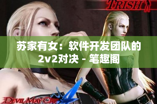 蘇家有女：軟件開發(fā)團(tuán)隊的2v2對決 - 筆趣閣