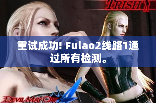 重試成功! Fulao2線路1通過所有檢測(cè)。