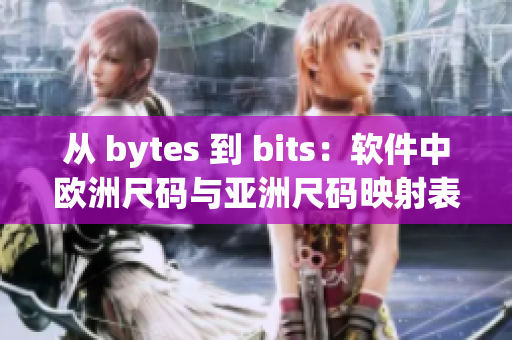 從 bytes 到 bits：軟件中歐洲尺碼與亞洲尺碼映射表的對比分析