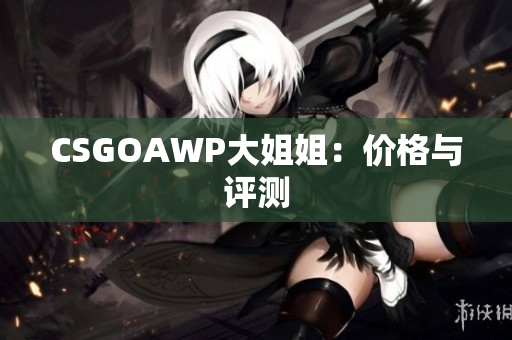 CSGOAWP大姐姐：價(jià)格與評測