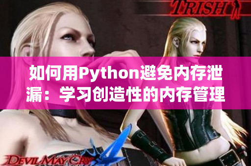 如何用Python避免內存泄漏：學習創(chuàng)造性的內存管理策略