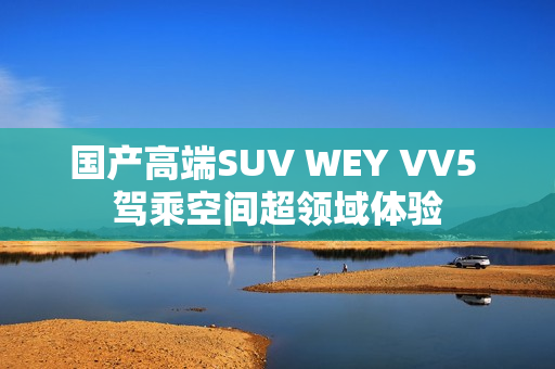 國產(chǎn)高端SUV WEY VV5 駕乘空間超領(lǐng)域體驗(yàn)