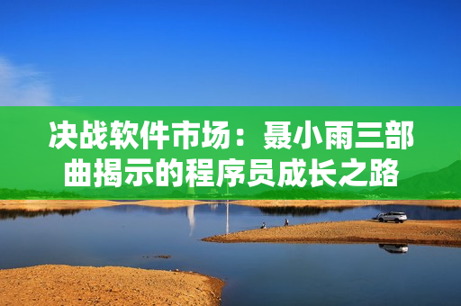 決戰(zhàn)軟件市場(chǎng)：聶小雨三部曲揭示的程序員成長(zhǎng)之路