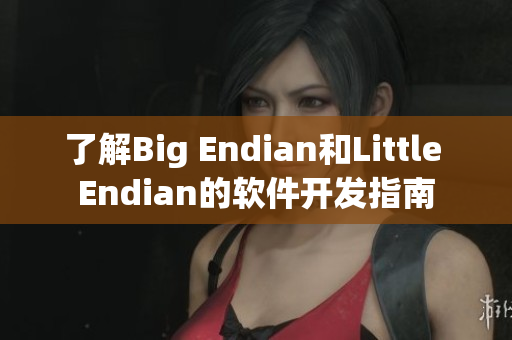 了解Big Endian和Little Endian的軟件開發(fā)指南