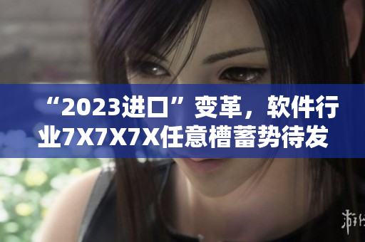 “2023進口”變革，軟件行業(yè)7X7X7X任意槽蓄勢待發(fā)