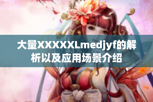 大量XXXXXLmedjyf的解析以及應(yīng)用場景介紹