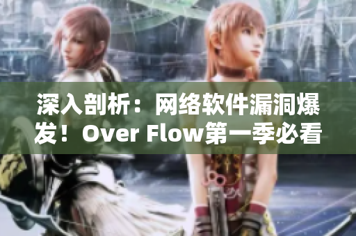 深入剖析：網(wǎng)絡(luò)軟件漏洞爆發(fā)！Over Flow第一季必看！