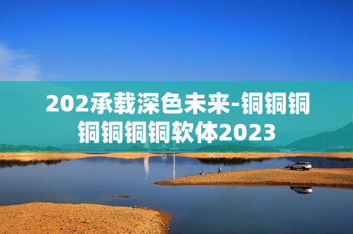 202承載深色未來(lái)-銅銅銅銅銅銅銅軟體2023