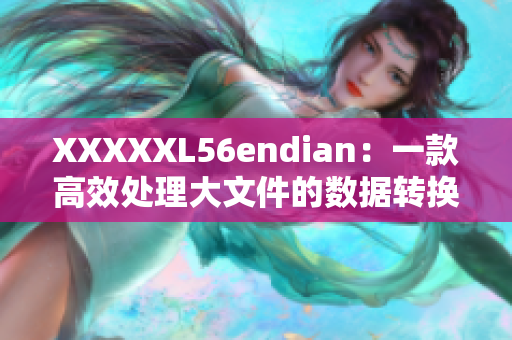 XXXXXL56endian：一款高效處理大文件的數(shù)據(jù)轉換工具