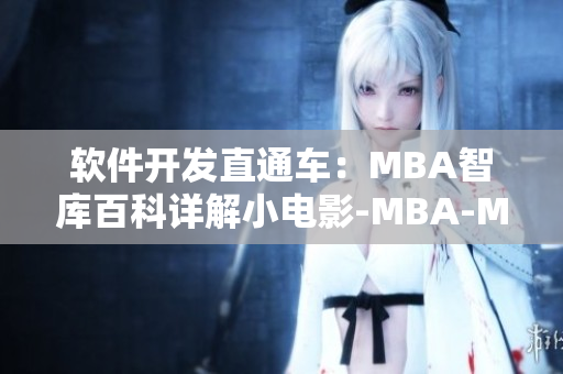 軟件開發(fā)直通車：MBA智庫百科詳解小電影-MBA-MBA智庫