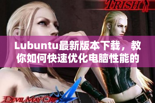 Lubuntu最新版本下載，教你如何快速優(yōu)化電腦性能的軟件指南