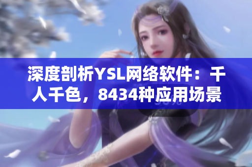 深度剖析YSL網(wǎng)絡軟件：千人千色，8434種應用場景