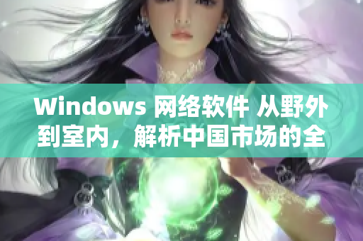 Windows 網(wǎng)絡(luò)軟件 從野外到室內(nèi)，解析中國市場的全貌