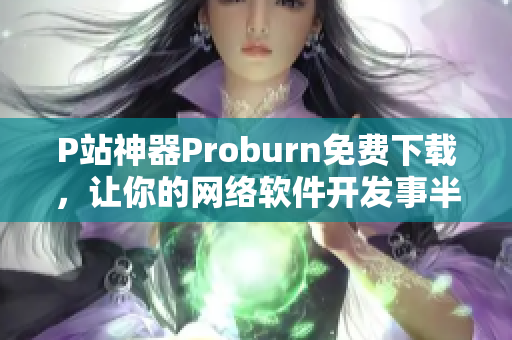 P站神器Proburn免費(fèi)下載，讓你的網(wǎng)絡(luò)軟件開(kāi)發(fā)事半功倍