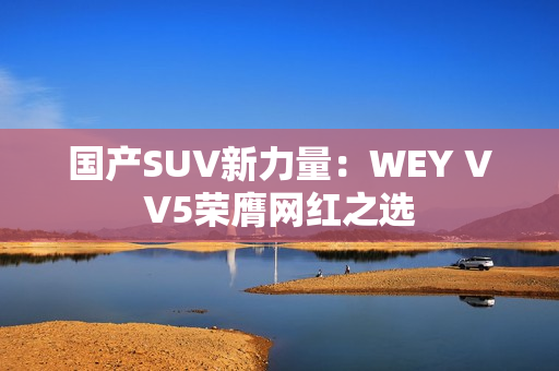 國產SUV新力量：WEY VV5榮膺網(wǎng)紅之選