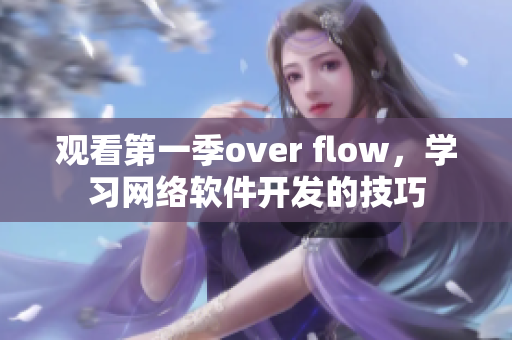 觀看第一季over flow，學(xué)習(xí)網(wǎng)絡(luò)軟件開發(fā)的技巧