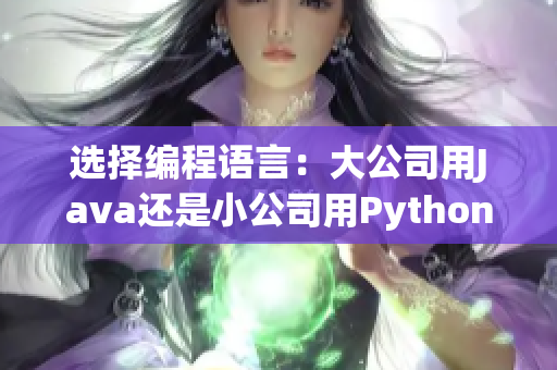 選擇編程語(yǔ)言：大公司用Java還是小公司用Python？