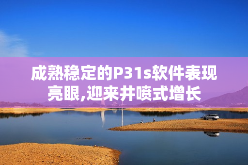 成熟穩(wěn)定的P31s軟件表現(xiàn)亮眼,迎來井噴式增長