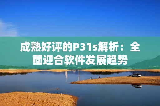 成熟好評(píng)的P31s解析：全面迎合軟件發(fā)展趨勢(shì)