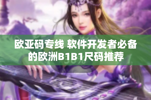 歐亞碼專線 軟件開發(fā)者必備的歐洲B1B1尺碼推薦