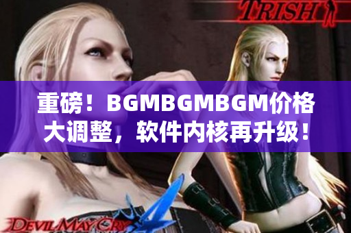 重磅！BGMBGMBGM價(jià)格大調(diào)整，軟件內(nèi)核再升級(jí)！