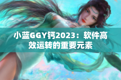 小藍GGY鈣2023：軟件高效運轉的重要元素