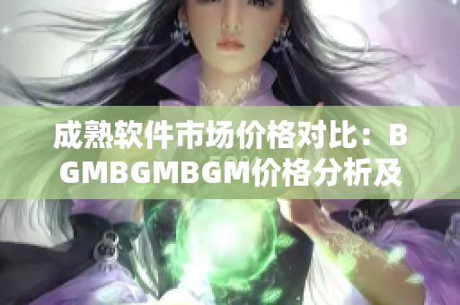 成熟軟件市場價格對比：BGMBGMBGM價格分析及選擇指南